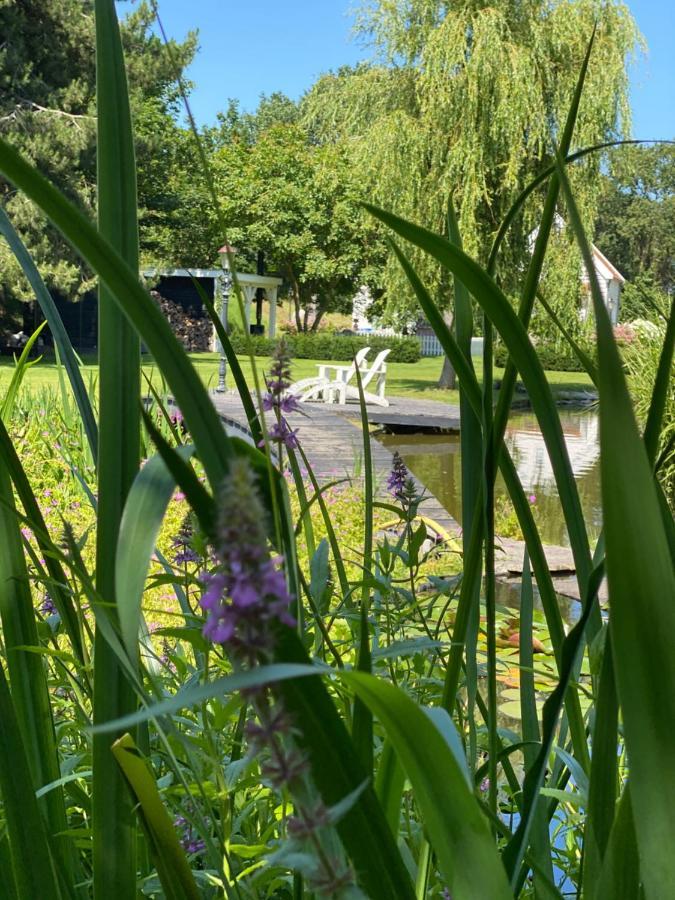 Gastenverblijf Nature 4-Persoons Ouddorp Bagian luar foto